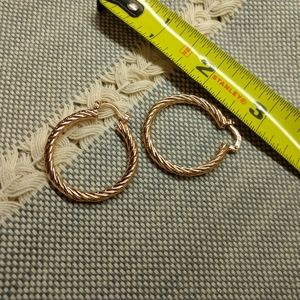 Gold plated earrings